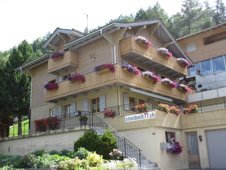 08-04 Hohtschugge, Grächen